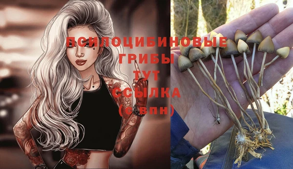 a pvp Майский