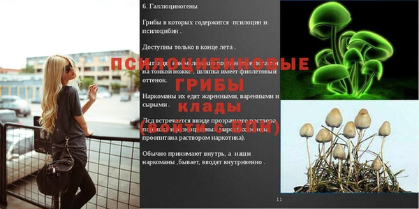 a pvp Майский